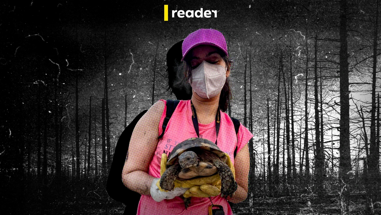 Διασώστης φροντίζει μια χελώνα.