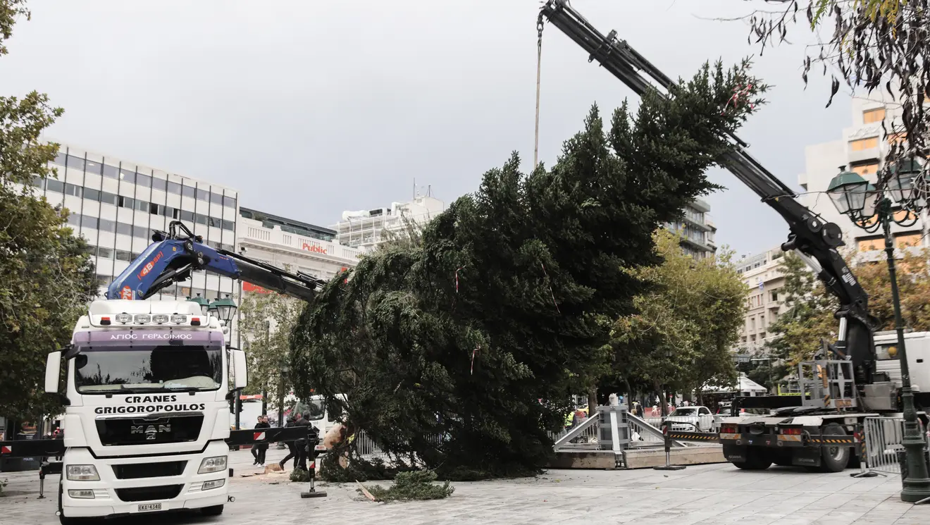 Το χριστουγεννιάτικο δέντρο στην Πλατεία Συντάγματος.