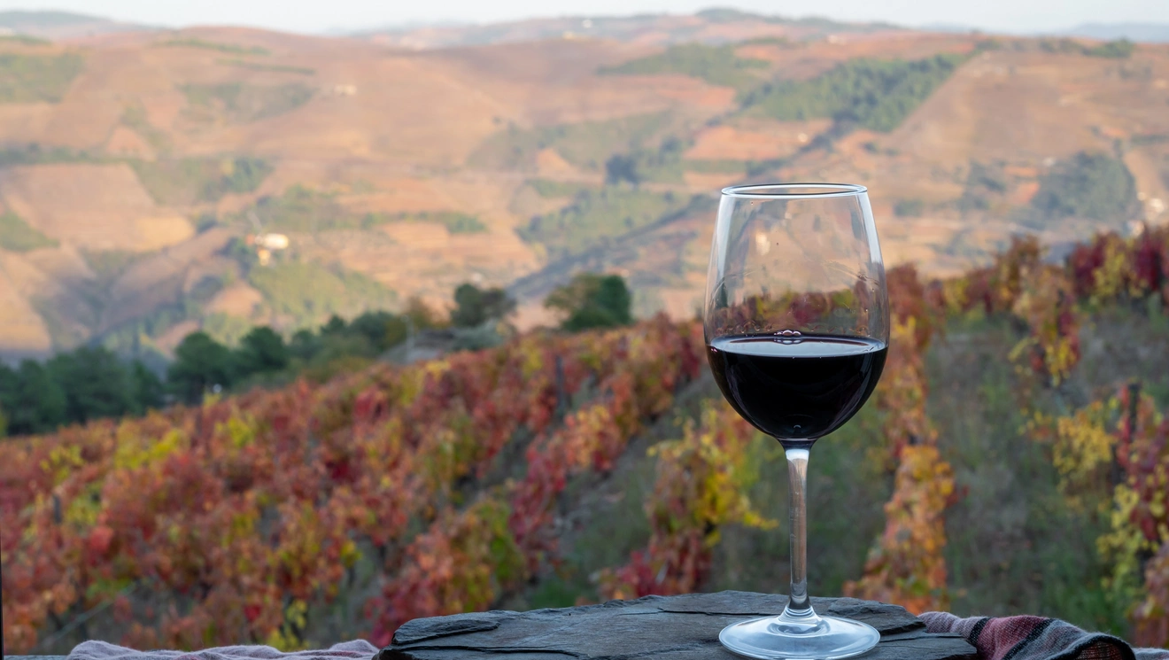 Κόκκινο κρασί