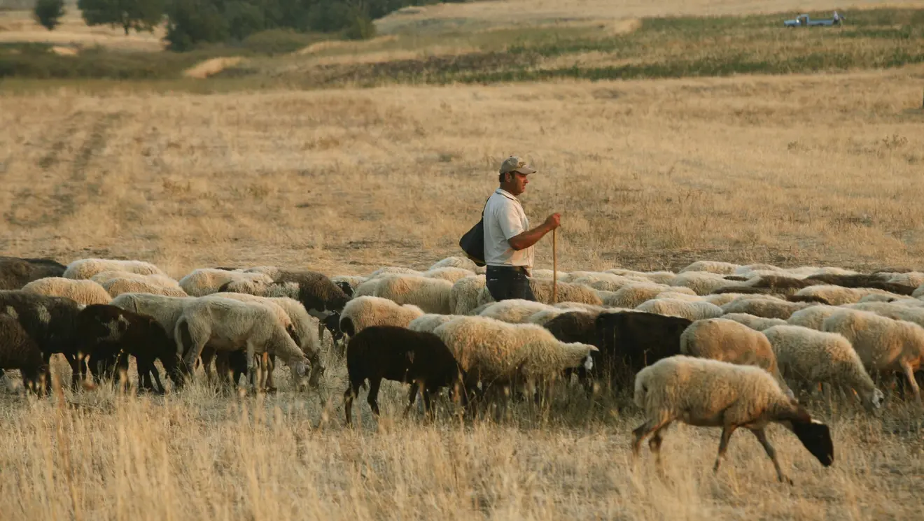 ktinotrofos-euritania