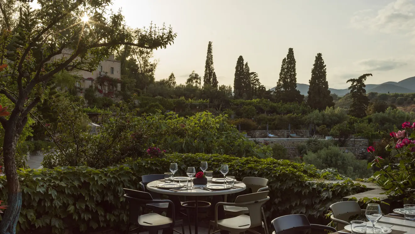 Μουριές εστιατόριο 