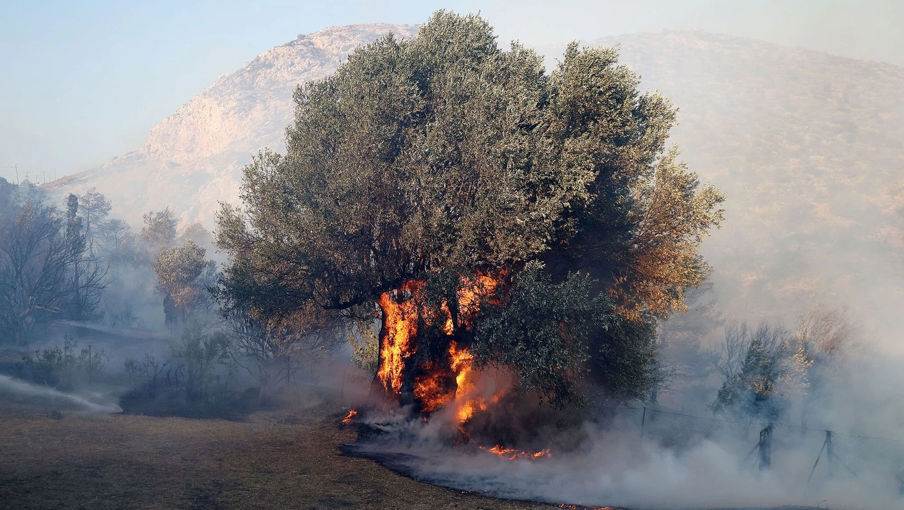φωτιά Κερατέα