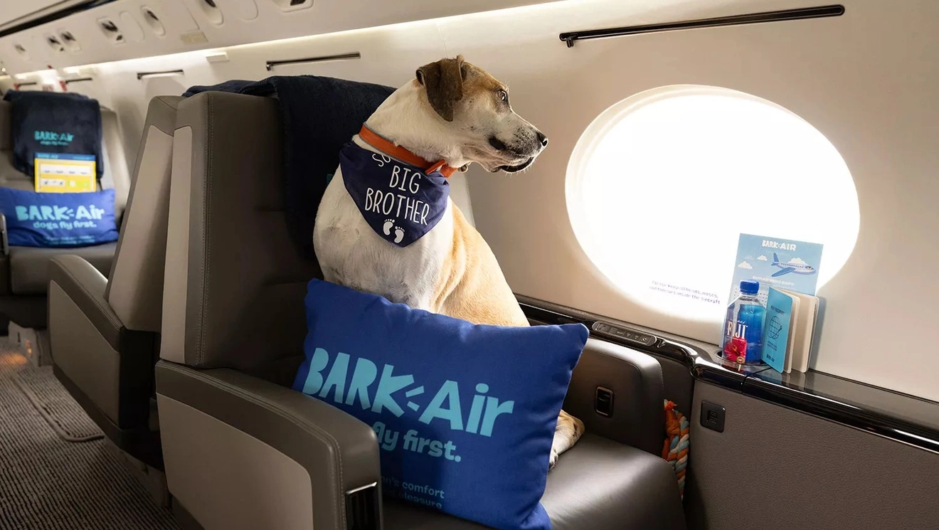 bark-air
