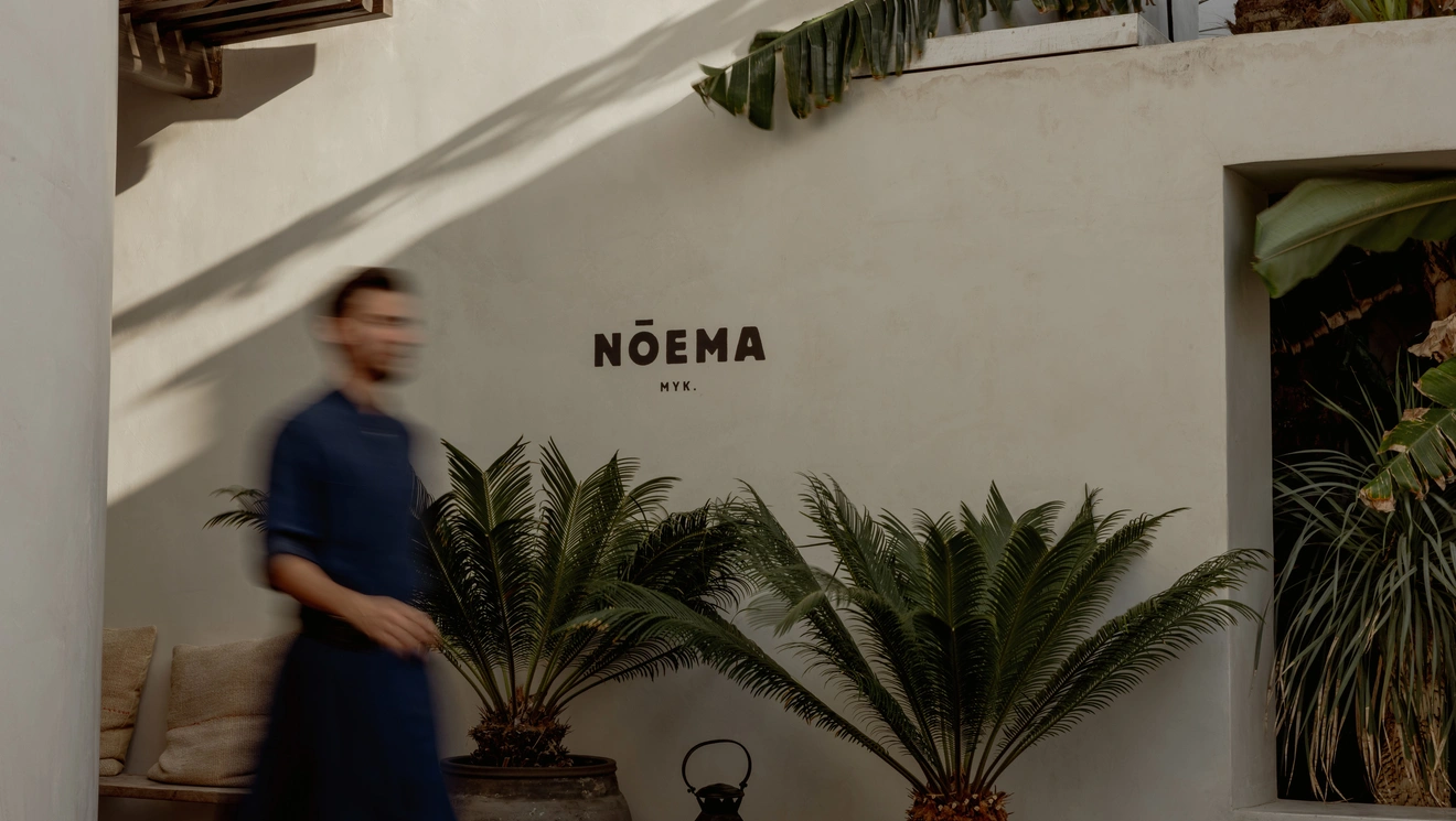 noema geniki 