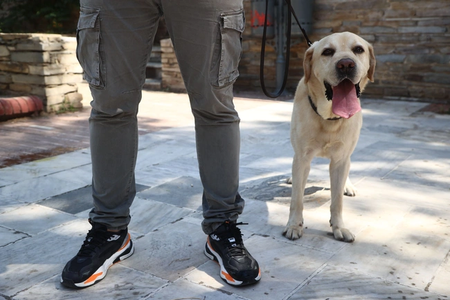 kideia-mixail-kostarakos