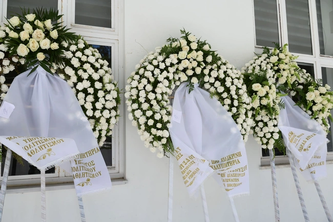 kideia-nonika-galinea