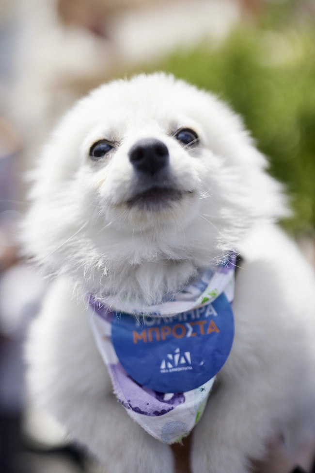 Kiriakos Mitsotakis sto githeio/sparti