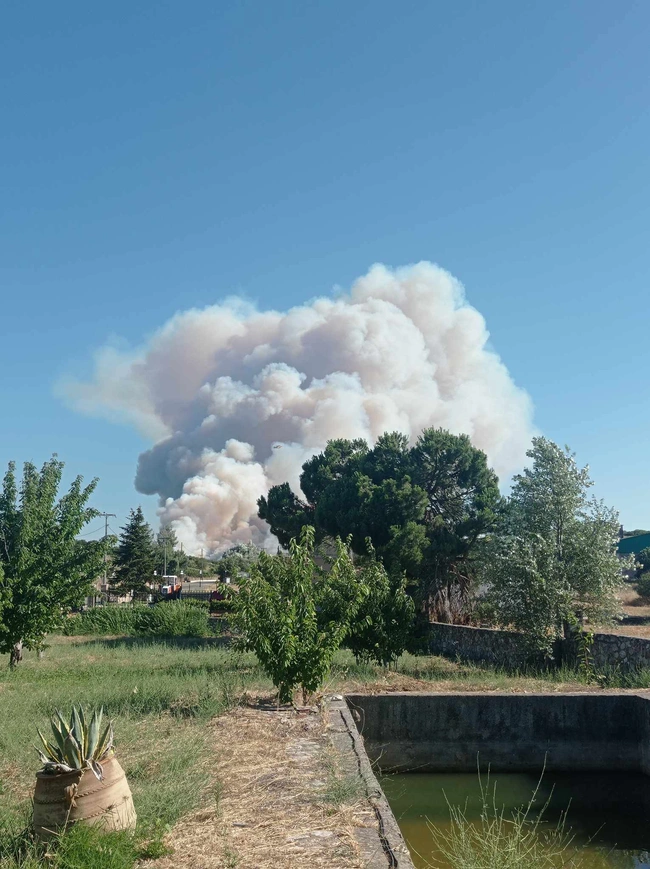 derbenohoria-fotia 2