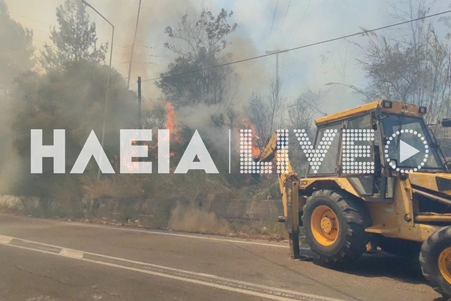 varvasaina_fotia_29_7_2023_4