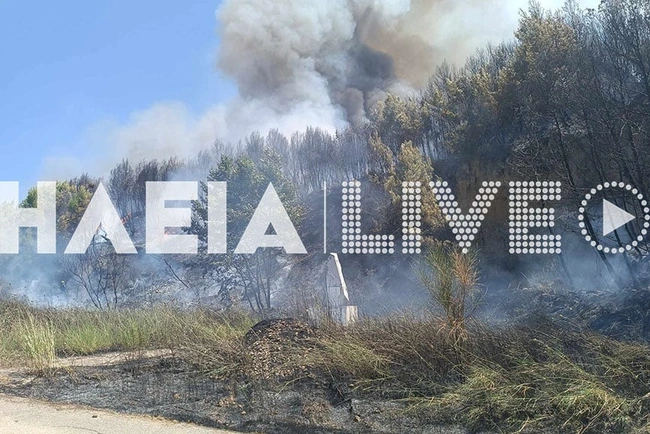 varvasaina_fotia_kakalis_2_