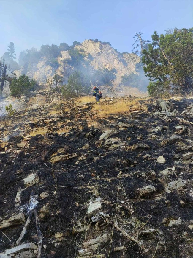 trikala-pyrosbestiki