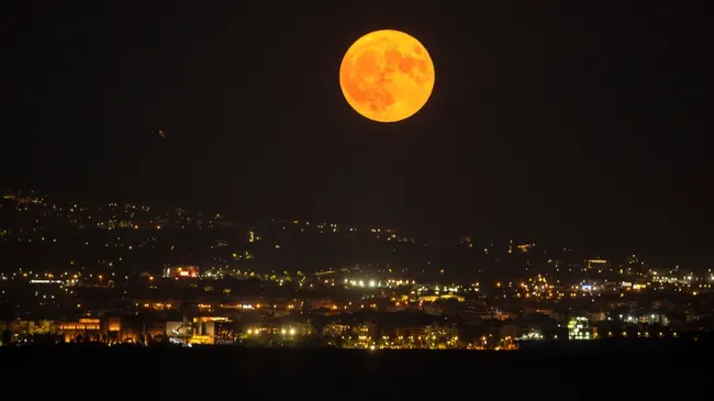 panselinos-thessaloniki