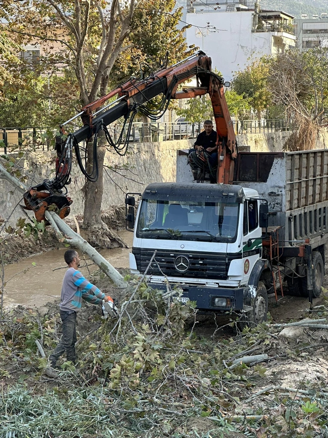 Κοπή δέντρων στον Βόλο