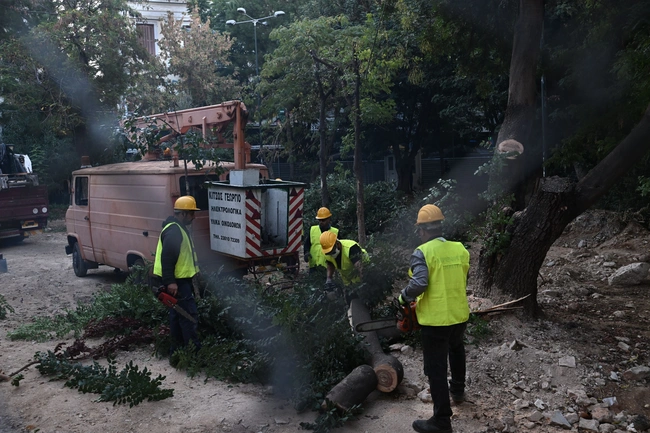 exarxeia-metro-dentra