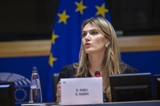 Η Εύα Καϊλη απευθύνει ομιλία στο ευρωκοινοβούλιο των Βρυξελλών // 8 Ιουνίου, 2022
