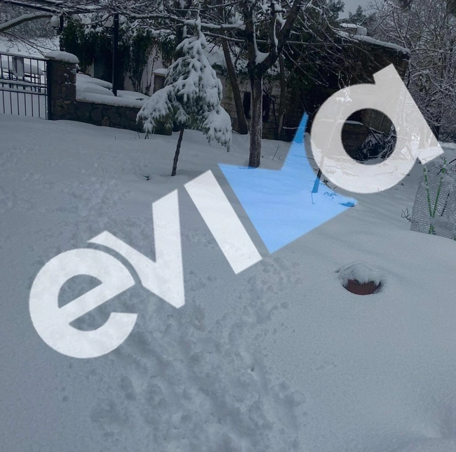 Χιόνια στην Εύβοια