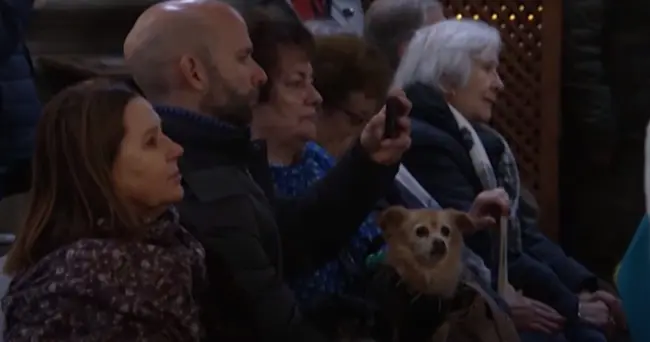 Αυτή τη μέρα, τα κατοικίδια παρακολουθούν τη λειτουργία με τους ιδιοκτήτες τους