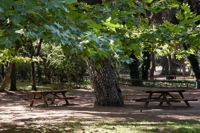 Βοτανικός Κήπος Διομήδους