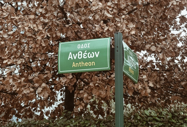 Η οδός Ανθέων.