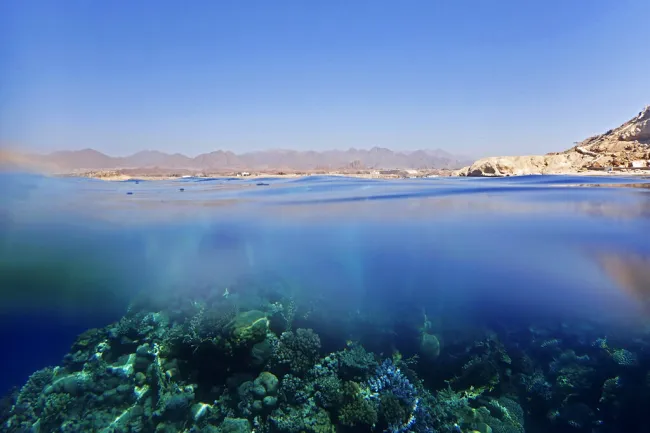 Οι κοραλλιογενείς ύφαλοι αλλάζουν τη γεωλογία και ρυθμίζουν το κλίμα