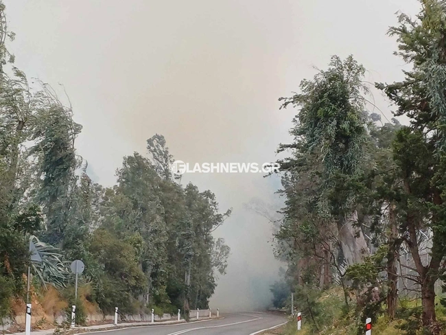 Φωτιά στα Χανιά