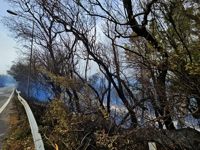 Φωτιά στη Σούδα