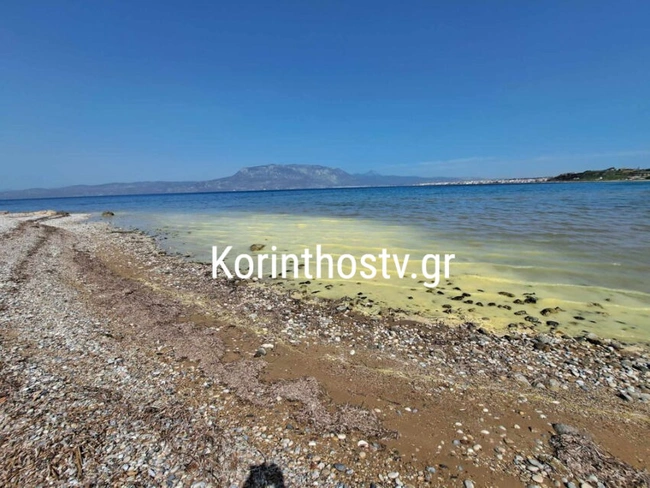 Κιτρίνισε η θάλασσα στην Κόρινθο