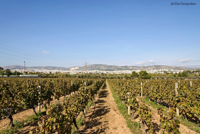 O πύργος και το κτήμα της βασίλισσας Αμαλίας στο Ίλιον