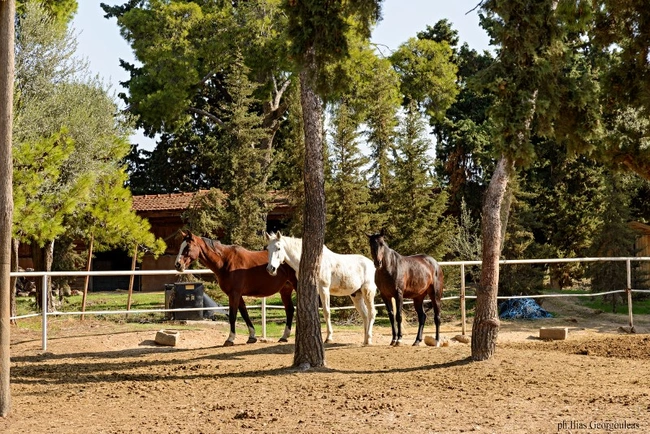 O πύργος και το κτήμα της βασίλισσας Αμαλίας στο Ίλιον
