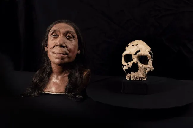 To τρισδιάστατο μοντέλο της Νέαντερταλ των 75.000 ετών
