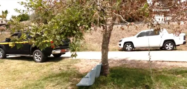 Τα ξεραμένα δέντρα