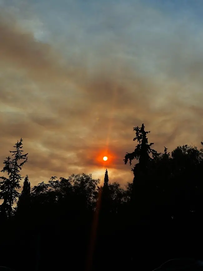 Φωτιά στην Εύβοια