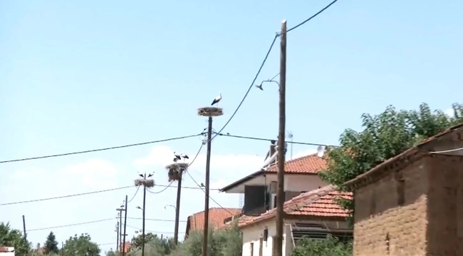 Πελαργοι χωριο