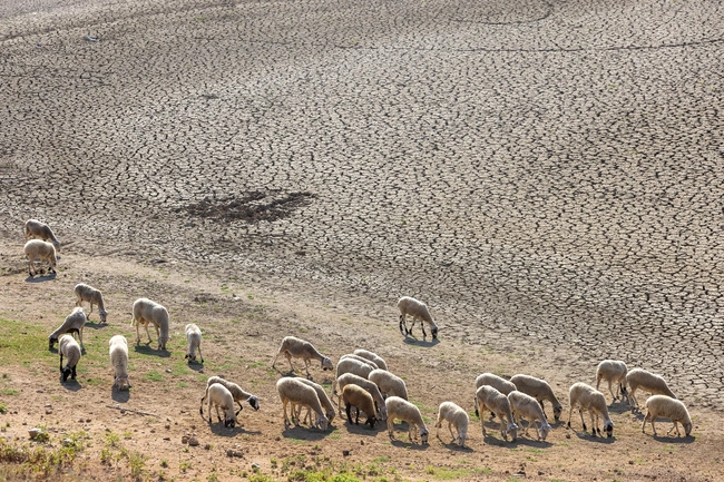 Τεχνητή Λίμνη Κάτω Σχολαρίου