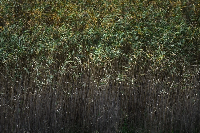 Λίμνη Στυμφαλία