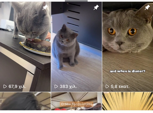 Ο Σίμπα στα social media