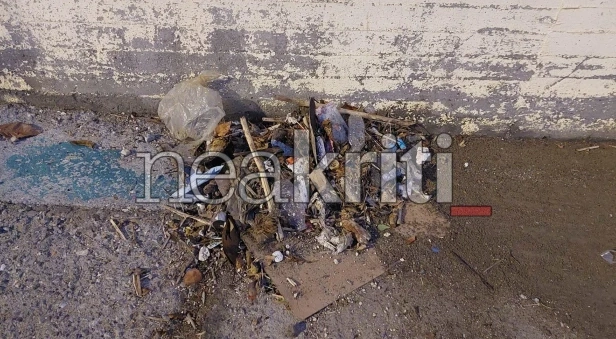 Νεκρά ποντίκια στο λιμάνι του Ηρακλείου