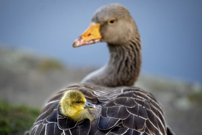 Φωτογραφίες χρονιάς
