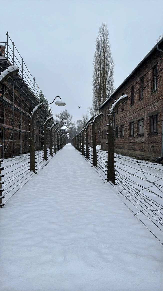 Άουσβιτς συρματοπλέγματα