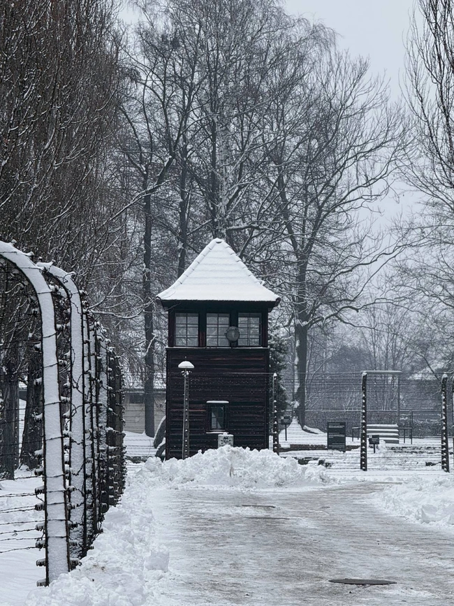Άουσβιτς φωτογραφίες