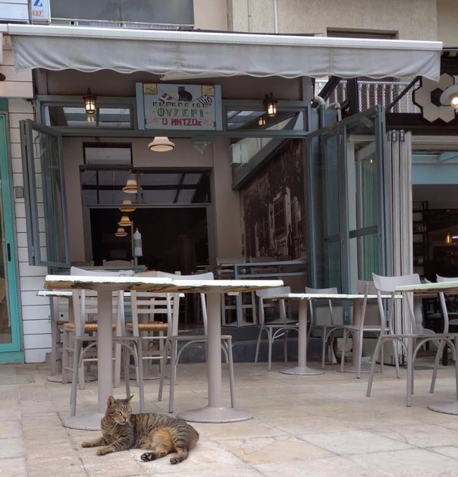 Το ουζερί του Μήτσου