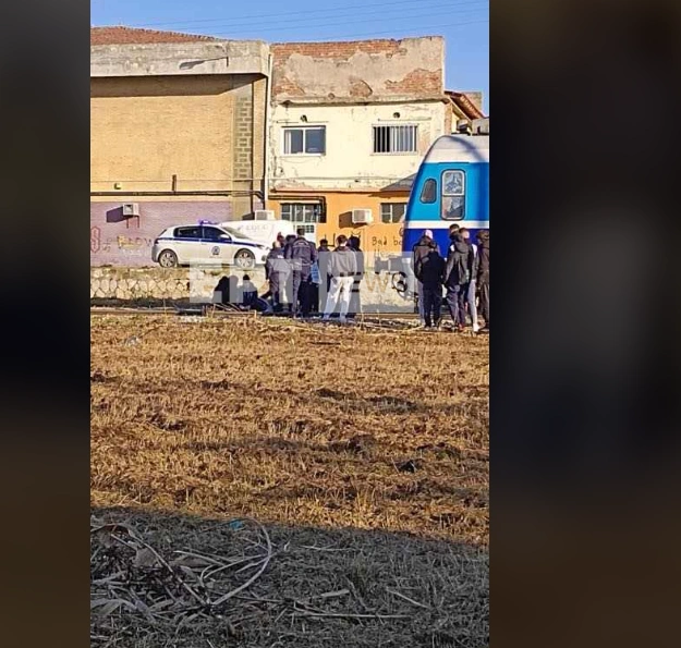 τρένο μαθητής Ημαθία