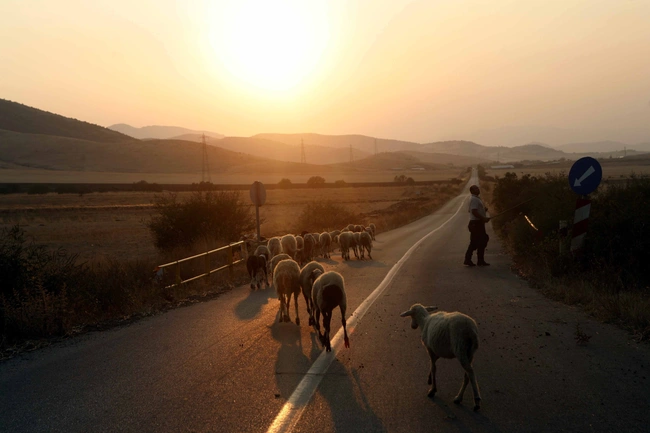 ktinotrofos-euritania