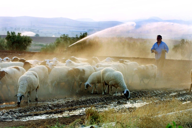 ktinotrofos-euritania