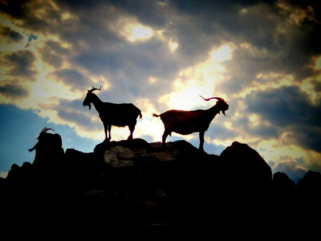 ktinotrofos-euritania