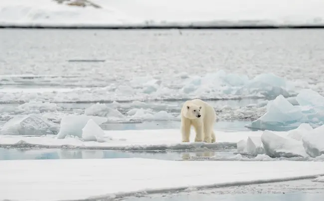Λιώσιμο πάγων στην Αρκτική