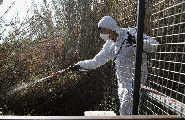 Απολύμανση για κουνούπια