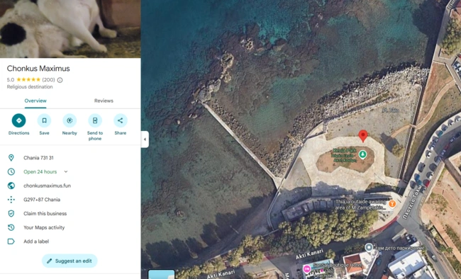 Η καταχώρηση της Google για τον Chonkus