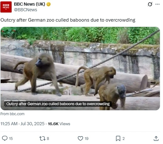 Το άρθρο του BBC για τους μπαμπουΐνους