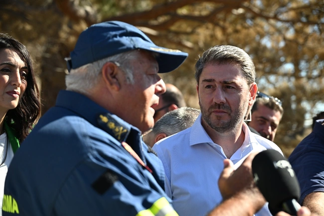 Ο Νίκος Ανδρουλάκης